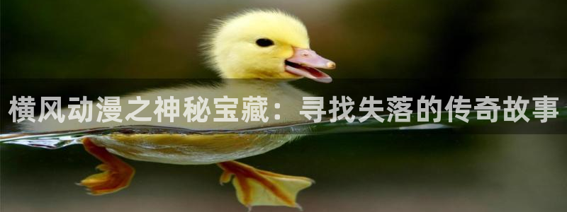 里番肉片动漫在线观看：横风动漫之神秘宝藏：寻找失落的传奇故事配图
