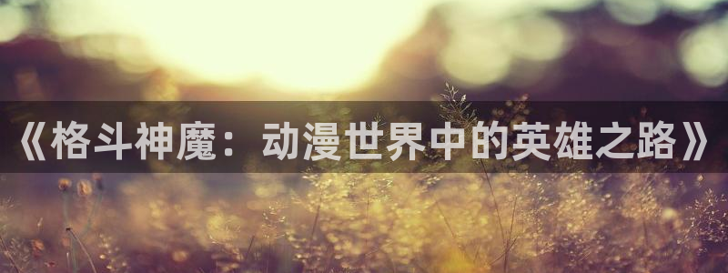 里番动漫全网在线观看:《格斗神魔:动漫世界中的英雄之路》配图