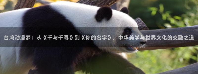 动漫里番在线观看：台湾动漫梦：从《千与千寻》到《你的名字》，中华美学与世界文化的交融之道配图