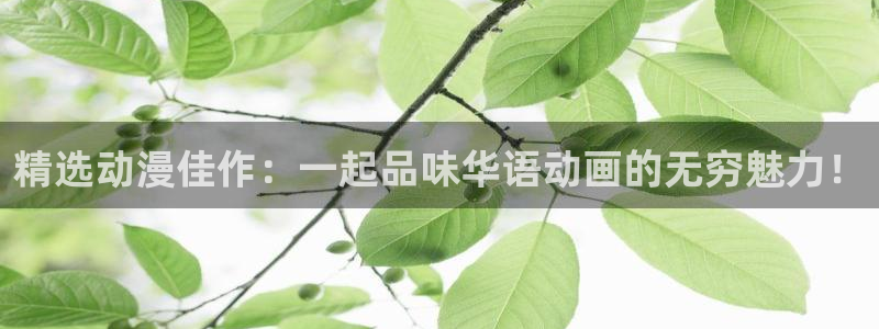 里番动漫在线观看安卓：精选动漫佳作：一起品味华语动画的无穷魅力！配图