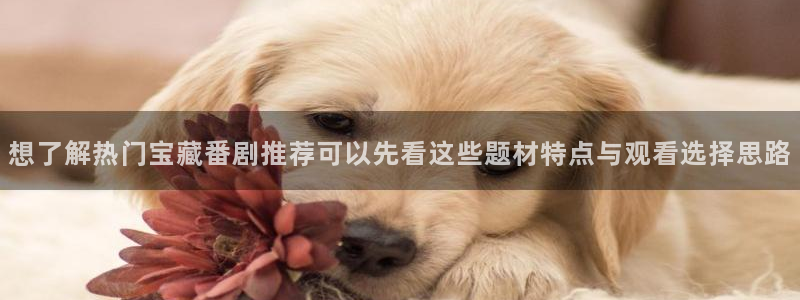 中国里番动漫在线观看：想了解热门宝藏番剧推荐可以先看这些题材特点与观看选择思路配图
