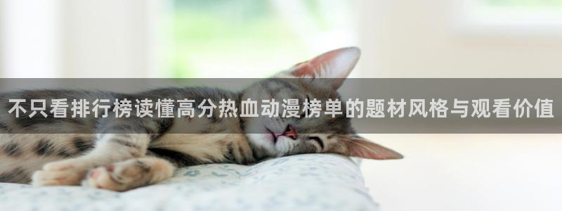妖精里番在线观看动漫:不只看排行榜读懂高分热血动漫榜单的题材风格与观看价值配图