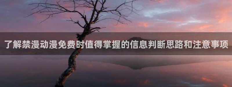 绅士里番动漫在线观看：了解禁漫动漫免费时值得掌握的信息判断思路和注意事项配图