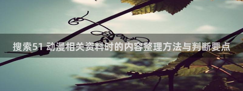 里番动漫在线视频观看:搜索51 动漫相关资料时的内容整理方法与判断要点配图