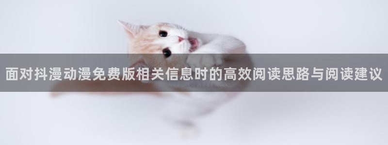 在线观看动漫里番：面对抖漫动漫免费版相关信息时的高效阅读思路与阅读建议配图