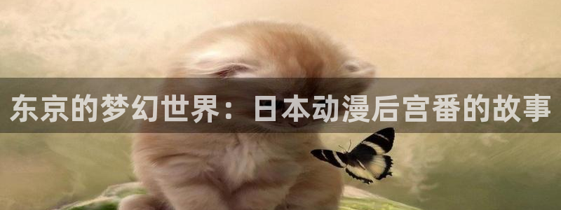 妖精里番在线观看动漫:东京的梦幻世界:日本动漫后宫番的故事配图